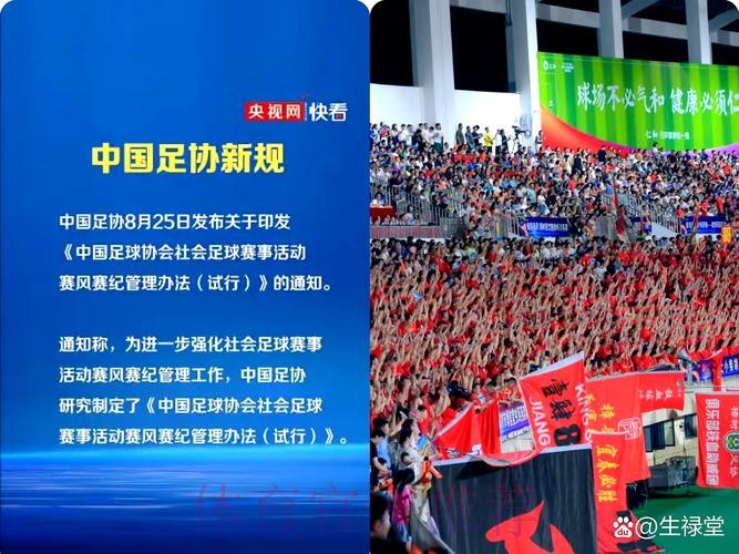 中国足协召开第十届第九次执委会-逐步完善组织职能 纵深推进体系改革