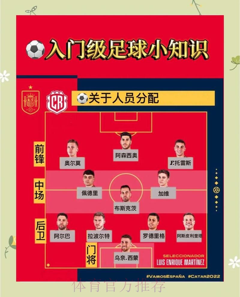 深入解析世界杯外围赛热门球队与战术策略